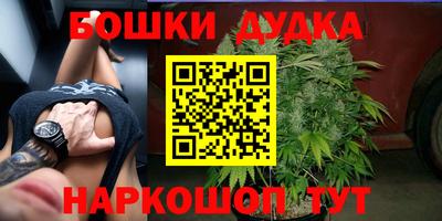 ПСИЛОЦИБИНОВЫЕ ГРИБЫ Кинель