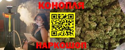 не бодяженный Кингисепп